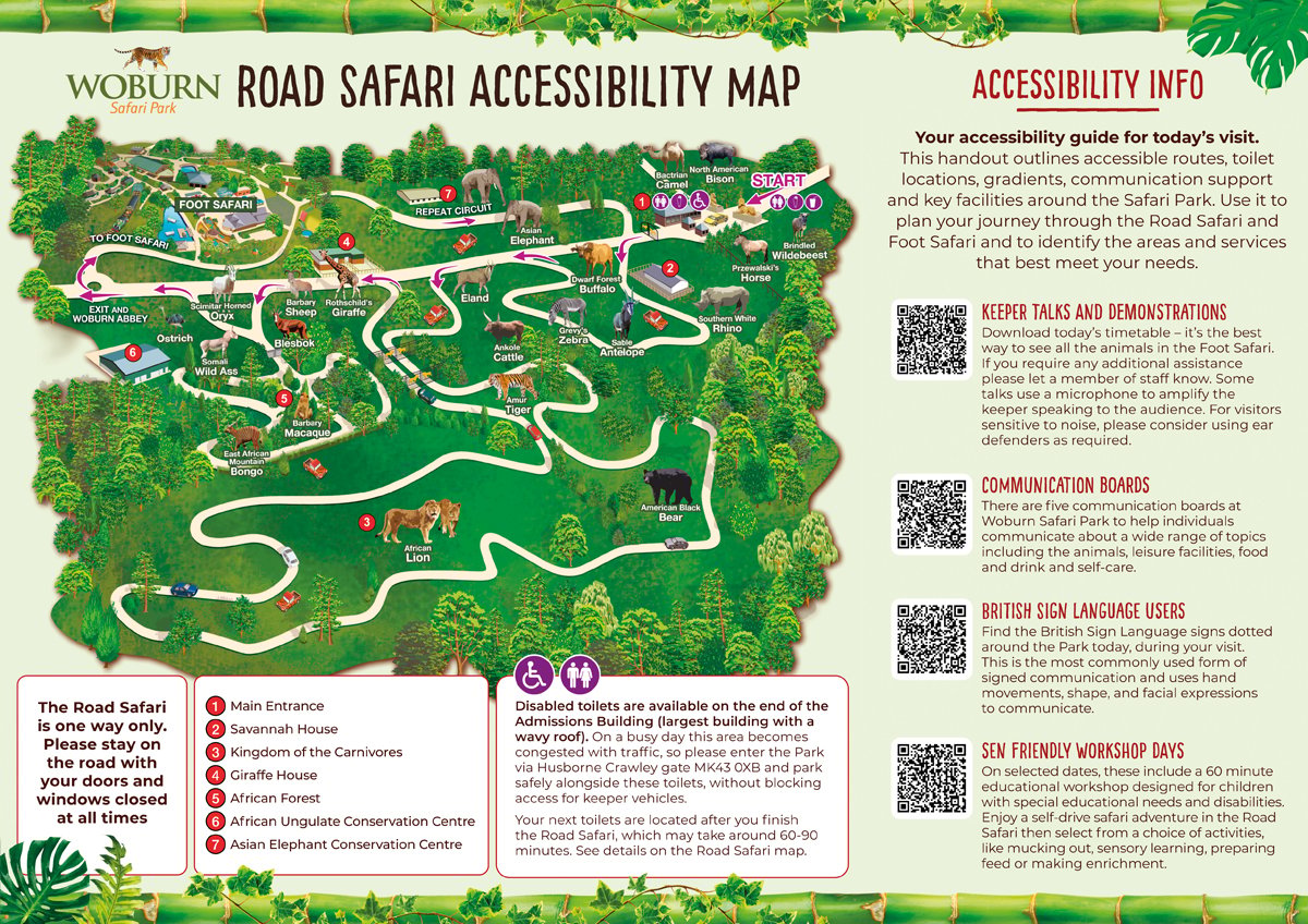 Image of woburn safari accessibility road safari 2026
