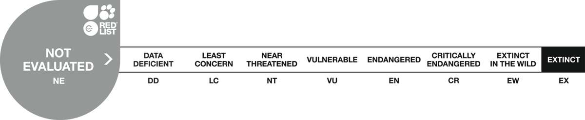 Image of red list scale 1 not evaluated
