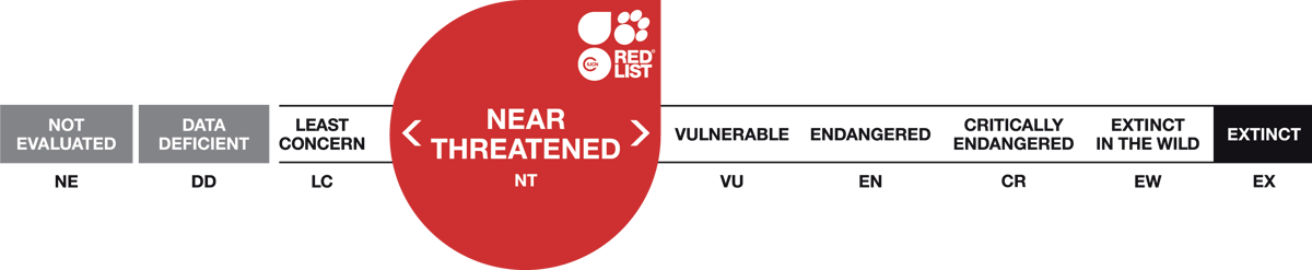 Red List Scale Near Threatened