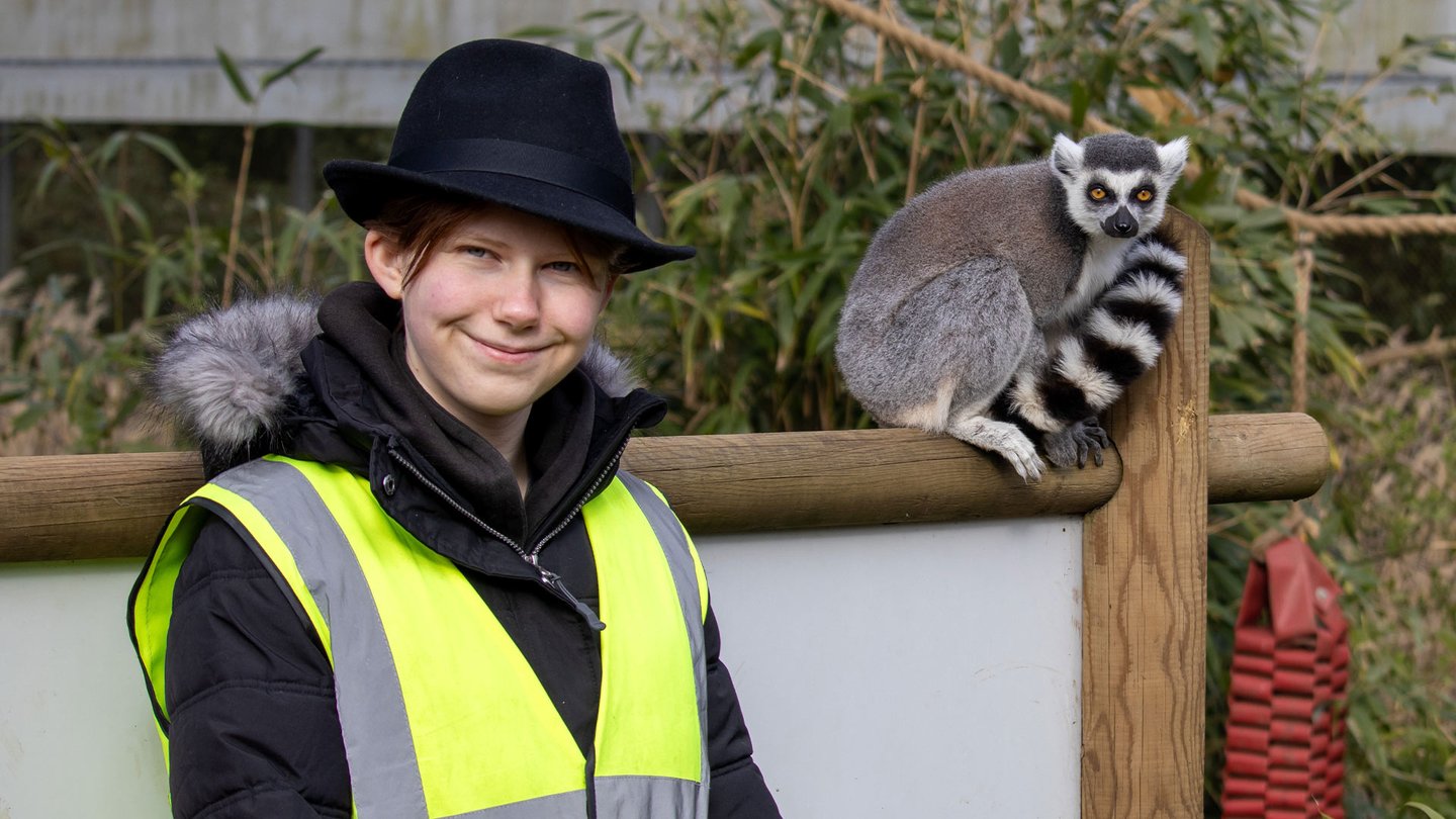 Educational Workshop boy with ring-tailed lemur