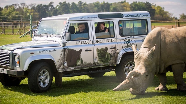 Image of rhino upclose 2017 web landscape 1920x1080 final