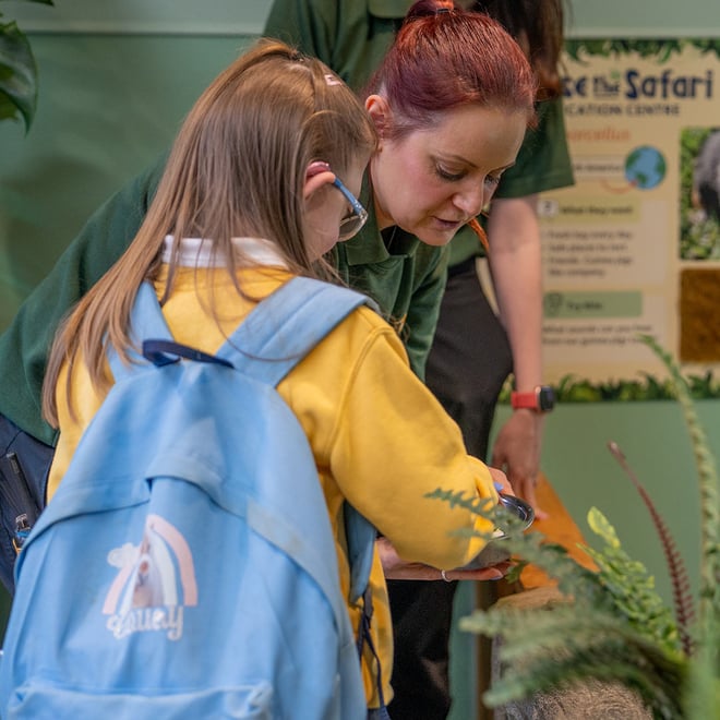 Child with SEND helping keeper to feed guinea pigs at Woburn's new SEND Classroom