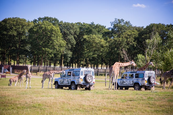 Image of woburn safari park july 2019 1