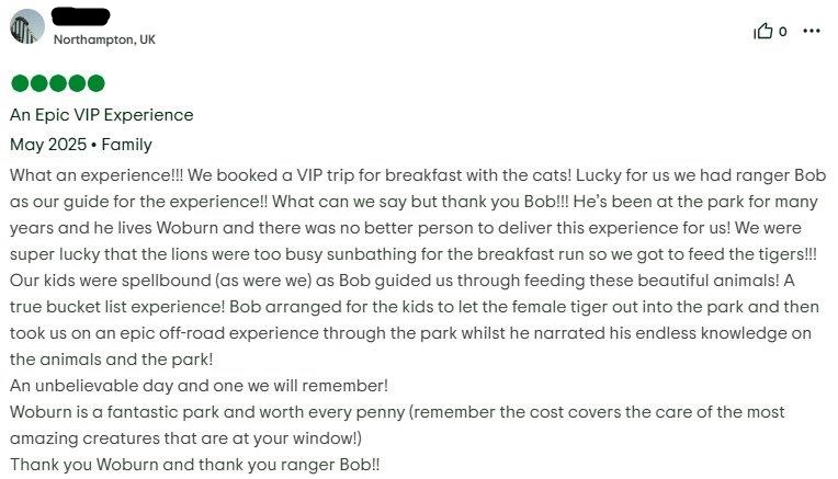 Big Cat Breakfast Trip Advisor Review 