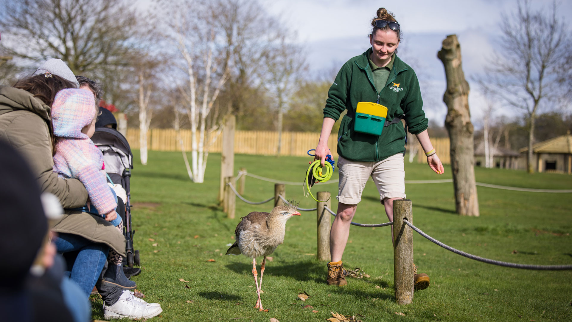 Keeper Meg and red legged seriema at the Birds Of Prey Demo