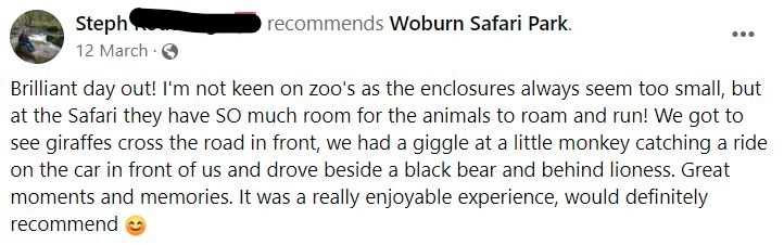 Testimonial image showing review from happy customer